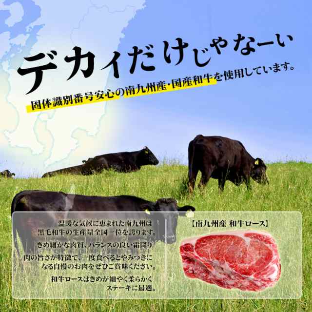 塊肉 でかいステーキ ステーキ肉 約600g 国産 九州産 牛肉 ロース ステーキ肉 冷凍 国産 冷凍 バーベキュー ホームパーティー  サプライズの通販はau PAY マーケット - ミート２１ショップ