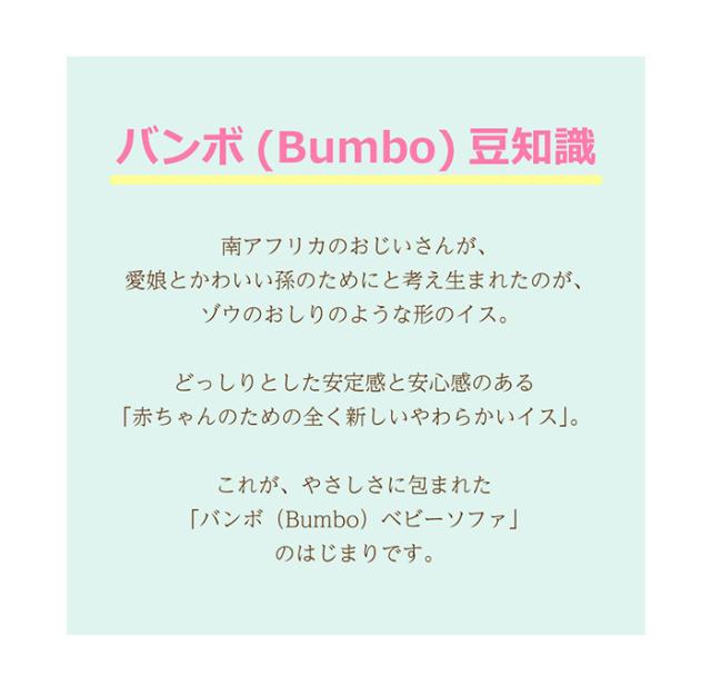 Bumbo バンボ ベビーチェア マルチシート 専用プレートレイ付き 正規品 出産祝い ギフト お食事 テーブル 腰ベルト ブースターシート ローチェア 椅子 床置き_3