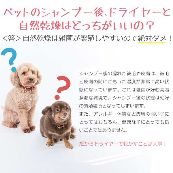 ペットドライヤー Petion ペット用品 犬 猫 ネコ ドライヤー フリーハンドドライヤー ペット用ドライヤー 犬用ドライヤー ペットグッズ の通販はau Pay マーケット メーカー直販家電 シバデン