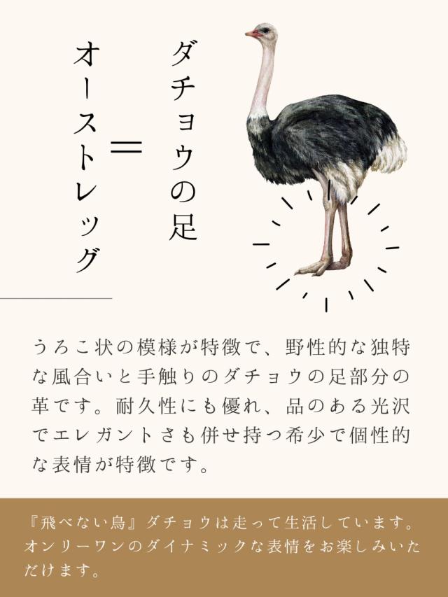 長財布 メンズ ラウンドファスナー 本革 革 レザー ブランド ダチョウ