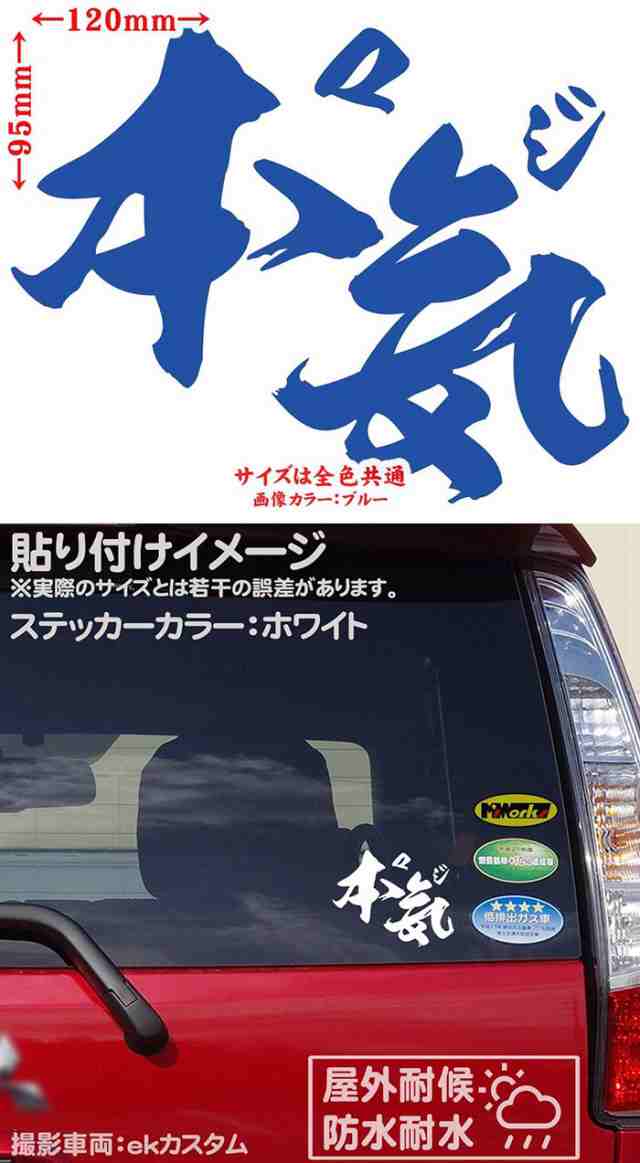 カッティングステッカー 車 バイク シール トラック デコトラ ジョーク