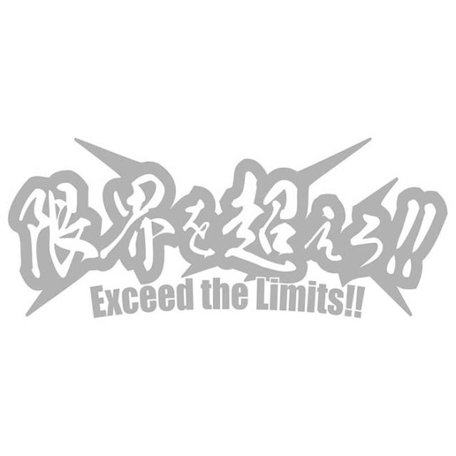 熟語 文字 ステッカー 限界を超えろ サイズL カッティングステッカー 