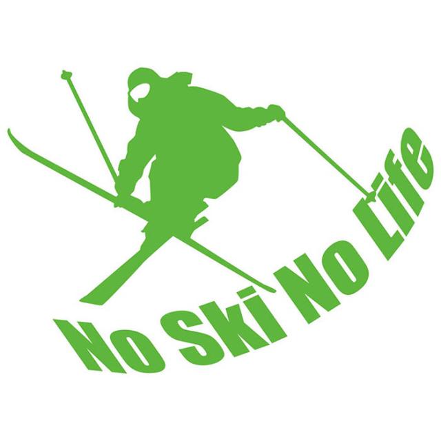スキー ステッカー No Ski No Life スキー 1 カッティングステッカー 全12色 車 リア ウィンドウ かっこいい スキーヤー 雪山 雪板 冬の通販はau Pay マーケット カッティングステッカーのm Sworks Au Pay マーケット店