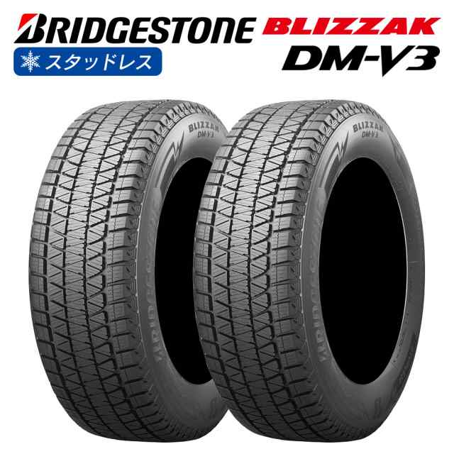 BRIDGESTONE ブリヂストン BLIZZAK DM-V3 225/60R17 スタッドレス 冬 タイヤ 2本セット 法人様専用