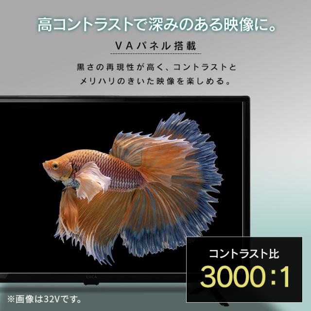 テレビ 液晶テレビ 24型 ハイビジョン Wチューナー HDD録画 2台目 セカンドテレビ 子ども部屋 寝室 シンプル 24v型 LT-24WSX-F1 アイリスオーヤマ *_1