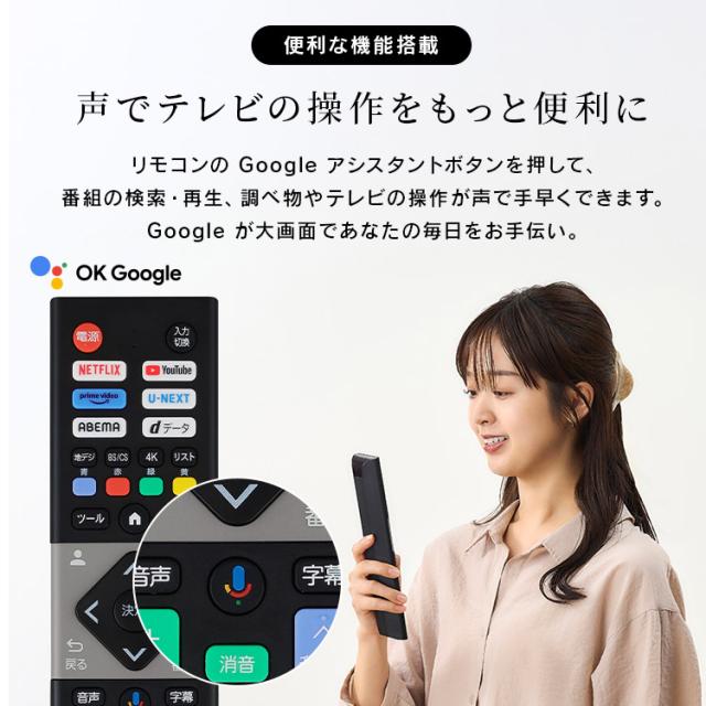 テレビ 24v 型 液晶テレビ 本体 新品 スマートテレビ ネット対応 GoogleTV チューナー内蔵 HD ハイビジョン Wチューナー 裏番組録画 音声検索 セカンドテレビ 2台目 tv 一人暮らし 24 LT-24WGX-F1 アイリスオーヤマ *_9