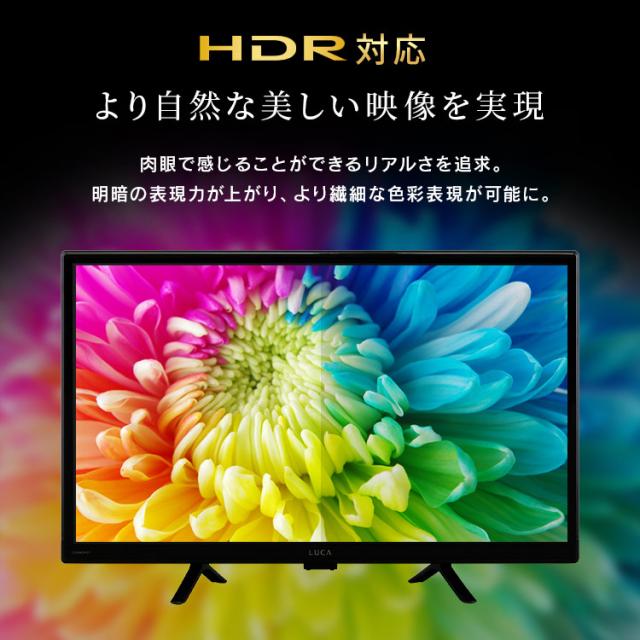 テレビ チューナーレステレビ 24V型 液晶テレビ 本体 新品 Google TV 搭載 tv 液晶LEDテレビ スマートテレビ チューナーレス ネット対応 HD ハイビジョン セカンドテレビ 一人暮らし 動画配信サービス 対応 LTL-24WG-F1 アイリスオーヤマ *_10