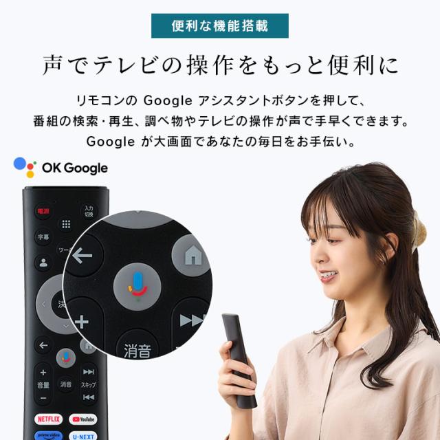 テレビ チューナーレステレビ 24V型 液晶テレビ 本体 新品 Google TV 搭載 tv 液晶LEDテレビ スマートテレビ チューナーレス ネット対応 HD ハイビジョン セカンドテレビ 一人暮らし 動画配信サービス 対応 LTL-24WG-F1 アイリスオーヤマ *_11