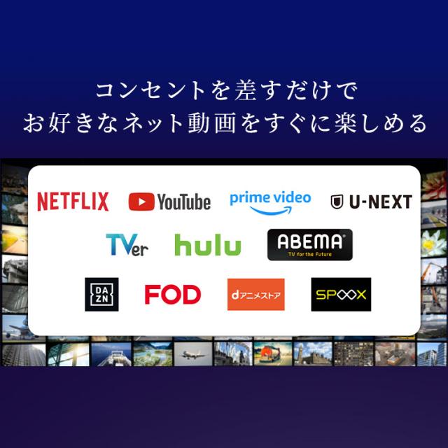 テレビ チューナーレステレビ 24V型 液晶テレビ 本体 新品 Google TV 搭載 tv 液晶LEDテレビ スマートテレビ チューナーレス ネット対応 HD ハイビジョン セカンドテレビ 一人暮らし 動画配信サービス 対応 LTL-24WG-F1 アイリスオーヤマ *_3