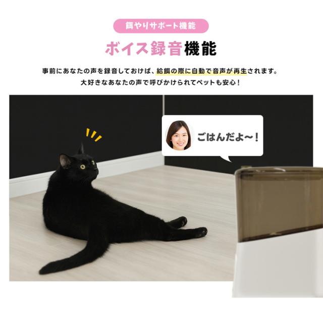Wi-Fiカメラ 自動給餌器 Wi-Fi接続 セキュリティ 防犯 工事不要 防犯 取付簡単 セキュリティ カメラ付き自動給餌器 WTW-IPET2971 株式会社塚本無線 Wi-Fiカメラ 自動給餌器 スマホ 遠隔監視 AV機器 Wi-Fi接続 セキュリティ 送料無料_13