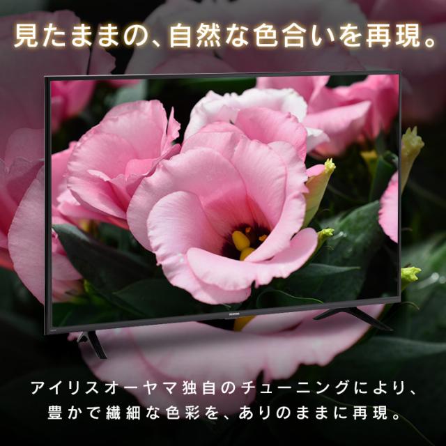 【1年保証】テレビ 32型 32インチ アイリスオーヤマ TV 送料無料 液晶テレビ 液晶TV Wチューナー HDD対応 デジタル ハイビジョン 液晶モニター 液晶ディスプレイ 一人暮らし ひとり暮らし 小型 BS Fiona 32WB10PB_1