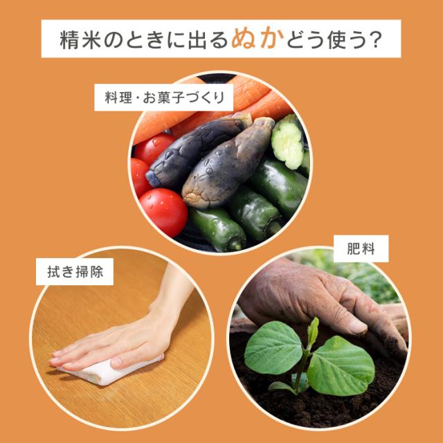 ★OFFクーポン★ 精米機 家庭用 アイリスオーヤマ 5合 かくはん式 5合連続精米 玄米 3分 5分 7分 胚芽米 白米 純白米 無洗米 古米 白米みがき 40銘柄対応 お手入れ簡単 取っ手付 ぬかボックス おうちで精米 家庭用精米機 精米器 RCI-B5-W 銘柄純白づき *