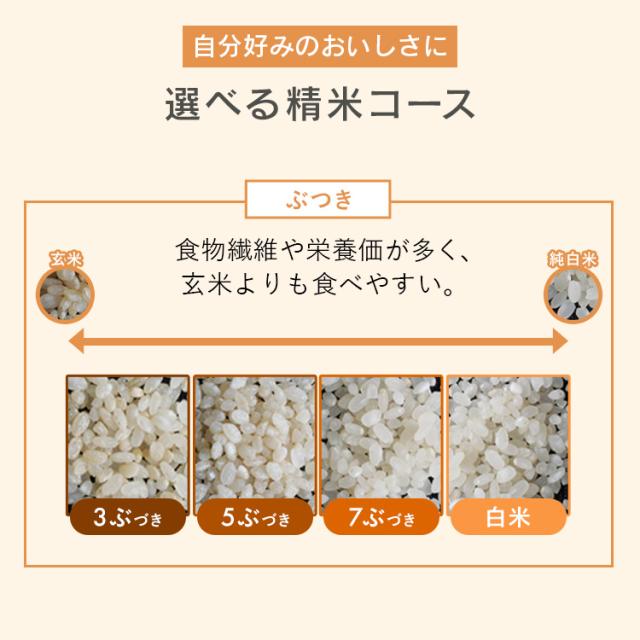 ★OFFクーポン★ 精米機 家庭用 アイリスオーヤマ 5合 かくはん式 5合連続精米 玄米 3分 5分 7分 胚芽米 白米 純白米 無洗米 古米 白米みがき 40銘柄対応 お手入れ簡単 取っ手付 ぬかボックス おうちで精米 家庭用精米機 精米器 RCI-B5-W 銘柄純白づき *