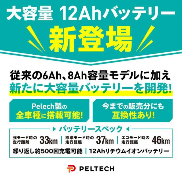PELTECH折り畳み電動アシスト自転車 20インチ 外装6段変速 12.0Ah 【簡易組立必要品】 TDN-206L-BK-12AH [代引不可] 全7色 電動自転車 アシスト 自転車 E-BIKE 折り畳み自転車 ラクラク 坂道 電動 ペルテック 送料無料