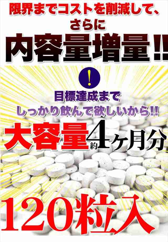 メガ盛り☆ブルーベリー＆ルテインサプリ約4ヵ月分/サプリ/送料無料※メール便/同梱不可の通販はau PAY マーケット - ケンコーとれたて本舗