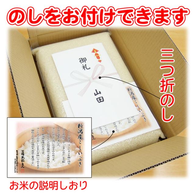 米 【真空パック】 令和7年産 新潟産 こしいぶき 20ｋｇ （5kg×4） お米 おこめ 備蓄 白米_1