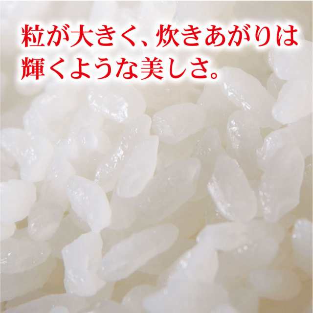 新潟産　マーケット－通販サイト　北海道〜九州は送料無料（沖縄2,000円）の通販はau　マーケット　新之助5ｋｇ　真空パック　PAY　PAY　お米の挨拶ギフトー越後のこめ匠　au　米　令和5年産