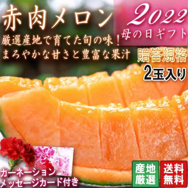 猫がイキイキ」 遅れてごめんね 母の日ギフト 赤肉メロン 2玉入り 優〜秀品規格 産地厳選 クインシーメロン中心 化粧箱入り  メッセージカード・カーネー まだ間に合う! 母の日 メロン 大玉 赤肉メロン 熊本県産 〜