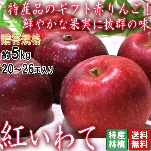 紅いわて 赤りんご 約5kg 20〜26玉 岩手県産 贈答規格 個人農家産中心 ...