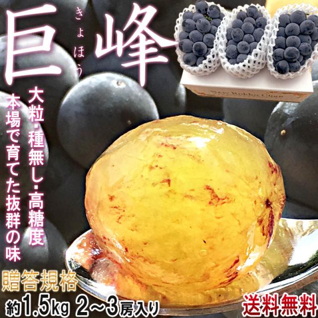 巨峰 山梨県・長野県産 大粒限定 種無し葡萄 約1.5kg 2〜3房入り 秀品 化粧箱入り 贈答規格の黒ぶどう！