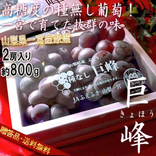 巨峰 一宮ぶどう 2房入り 計約800g 山梨県産 贈答品 JAふえふき共撰