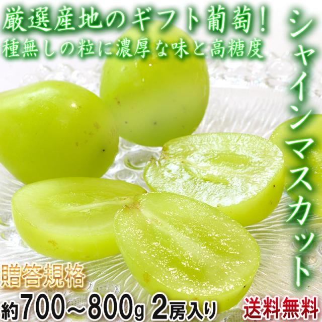 山梨県産ぶどう⭐️シャインマスカット⭐️贈答用共選品⭐️9房