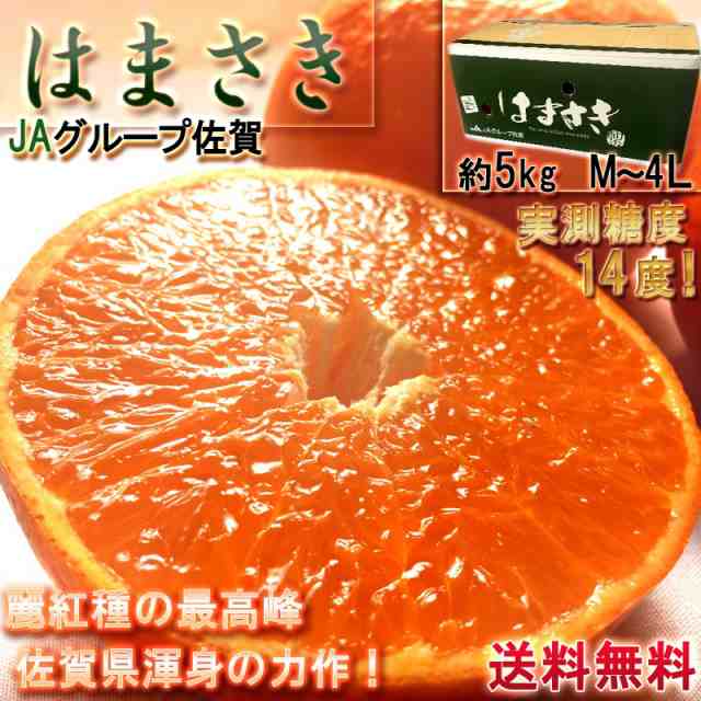 はまさき 麗紅 佐賀県産 約5kg M〜4Lサイズ 秀品 産地箱入り JAからつ