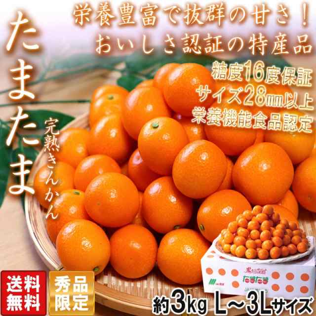 たまたま 完熟きんかん 約3kg L〜3Lサイズ 大玉厳選 宮崎県産