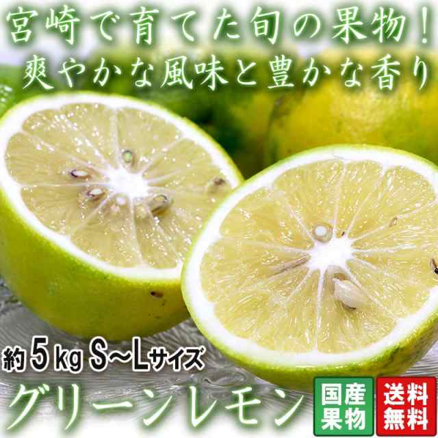 国産レモン 約5kg S〜Lサイズ 宮崎県産 個人農家産中心 爽やかな風味と