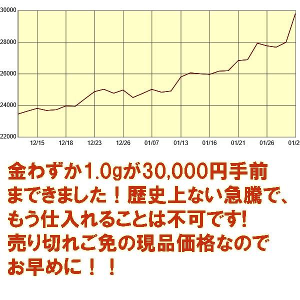プラチナツバルホースコイン ペンダントトップ 天然ダイヤモンド4石入り 1/25oz TUVAL2018年モノ希少 QUEEN ELIZABETH？の肖像 9995PT 3DOLLARS 31100417【送料無料】_8