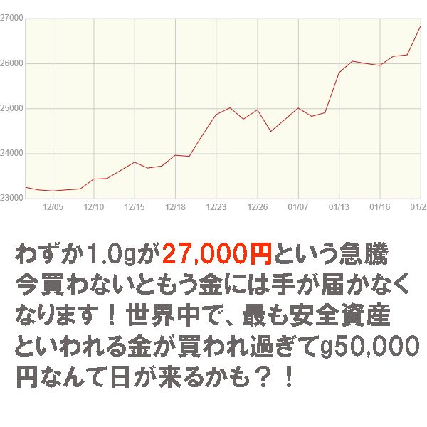 純金コイン金貨K24テディベア金貨 24金（K24） 1/20oz ＄10 2026年限定品 専用ケース保証書付き【ギフトラッピング済み】_7
