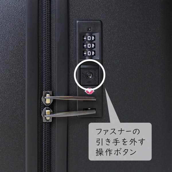 ace. ／HAyU×ace. パキラ (34L) 内装ネコ柄 ファスナータイプ スーツケース 2〜3泊用 3辺合計115cm 機内持ち込みサイズ 05781