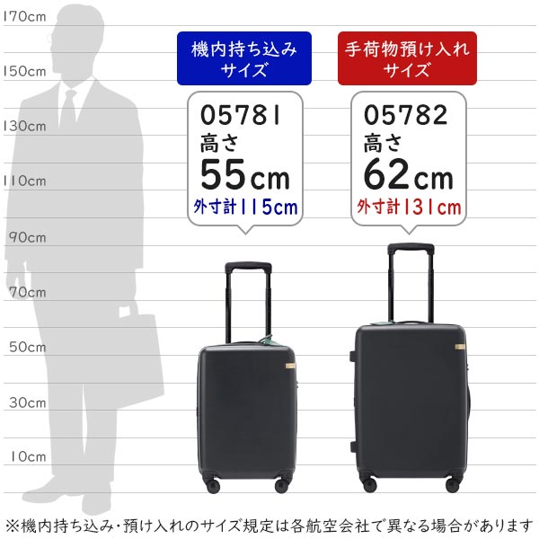 ace. ／HAyU×ace. パキラ (34L) 内装ネコ柄 ファスナータイプ スーツケース 2〜3泊用 3辺合計115cm 機内持ち込みサイズ 05781