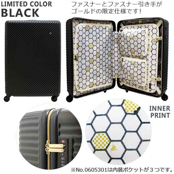 エース HaNT mine ハント マイン (33L) 05745 (限定色0605101) 機内