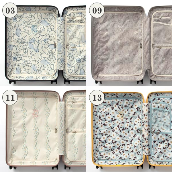 エース HaNT/ハント ココント スーツケース (97L) スタンダード型