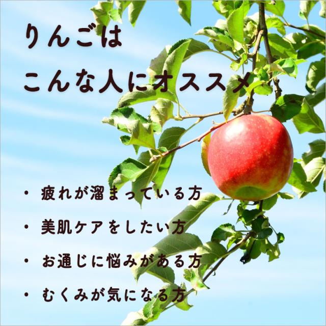 マルカイ 順造選 ミックスジュース 果汁100％ 500ml 12本 国産 ジュース フルーツ 大阪府 マルカイコーポレーション ケース販売 父の日 誕生日 お祝い ギフト レビューキャンペーン_3
