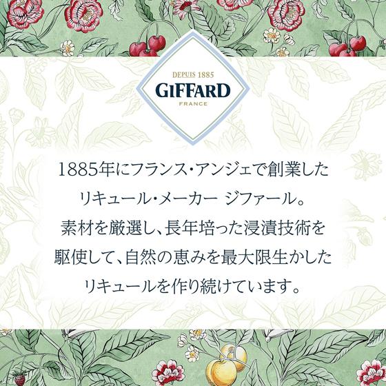 GIFFARD ジファール ジンジャー・オブ・ジ・インディーズ 25度 700ml 6本 生姜 しょうが コートーコーポレーション フランス リキュール ケース販売 レビューキャンペーン_4