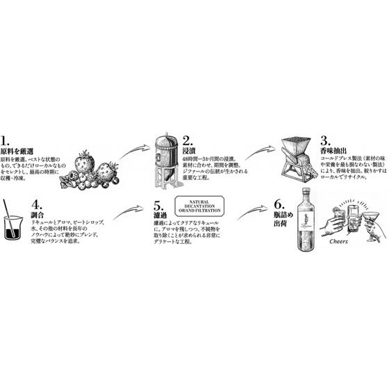 GIFFARD ジファール ジンジャー・オブ・ジ・インディーズ 25度 700ml 6本 生姜 しょうが コートーコーポレーション フランス リキュール ケース販売 レビューキャンペーン_5