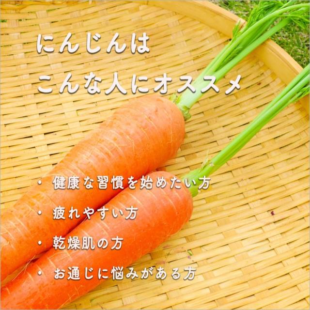 マルカイ 順造選 有機にんじん100 人参 果汁100％ 500ml 12本 国産 ジュース 有機JAS認証 大阪府 マルカイコーポレーション ケース販売 母の日 誕生日 お祝い ギフト レビューキャンペーン