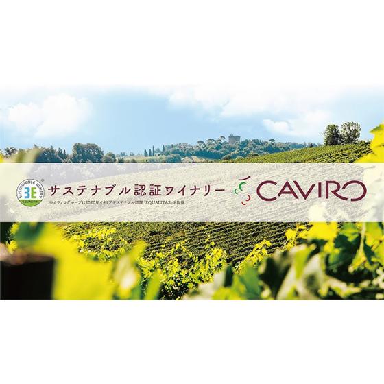 タヴェルネッロ オルガニコ トレッビアーノ シャルドネ 白 750ml 12本 イタリア 有機 オーガニック 白ワイン ケース販売 父の日 誕生日 お祝い ギフト レビューキャンペーン_2