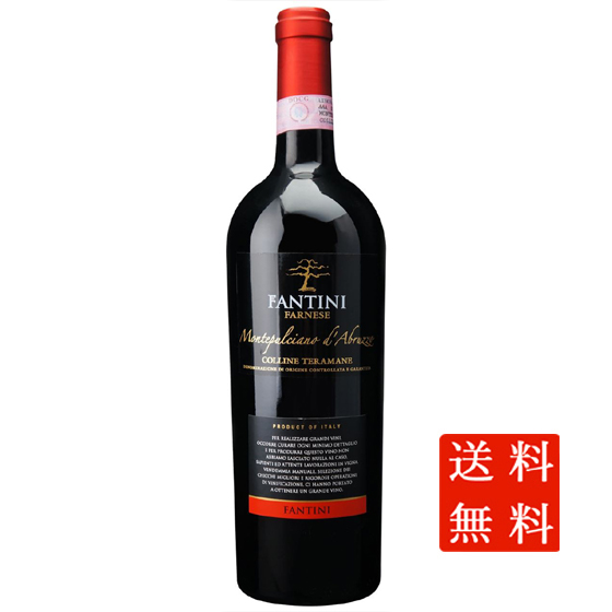 モンテプルチャーノ・ダブルッツオ コッリーネ・テラマーネ / ファルネーゼ 赤 750ml 12本 イタリア アブルッツォ ケース販売 本州のみ送料無料 赤ワイン 父の日 誕生日 お祝い ギフト
