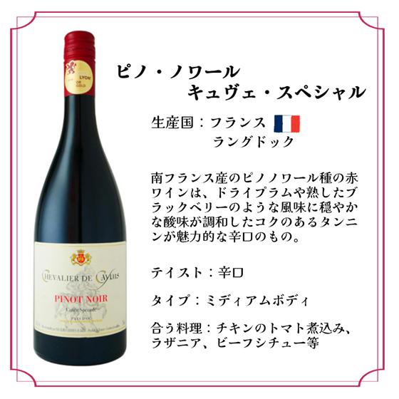 シュヴァリエ・ド・カイユス ピノ・ノワール キュヴェ・スペシャル / アルマ・セルシウス 赤 750ml 12本 フランス ラングドック・ルーション 赤ワイン ケース販売 母の日 誕生日 お祝い ギフト プレゼント