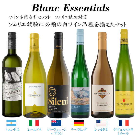 ワイン専門商社セレクト ソムリエ試験対策 白ワイン6本セット Blanc Essentials 本州のみ送料無料 ギフト 日本酒 飲み比べ レビューキャンペーン