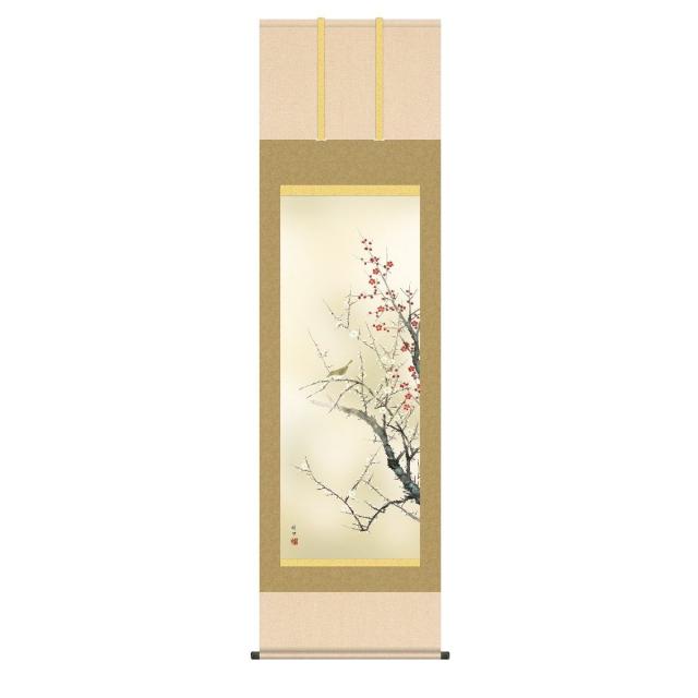 掛軸 日本画 床の間 送料無料 掛け軸  現代作家 花鳥画 季節飾り 春掛け紅白梅に鶯(こうはくばいにうぐいす) 高精彩複製画の通販は