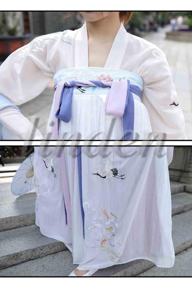 漢服 唐装 魏晋風 漢元素刺繍 女性 女の子 スカート 中華服 cos服 写真