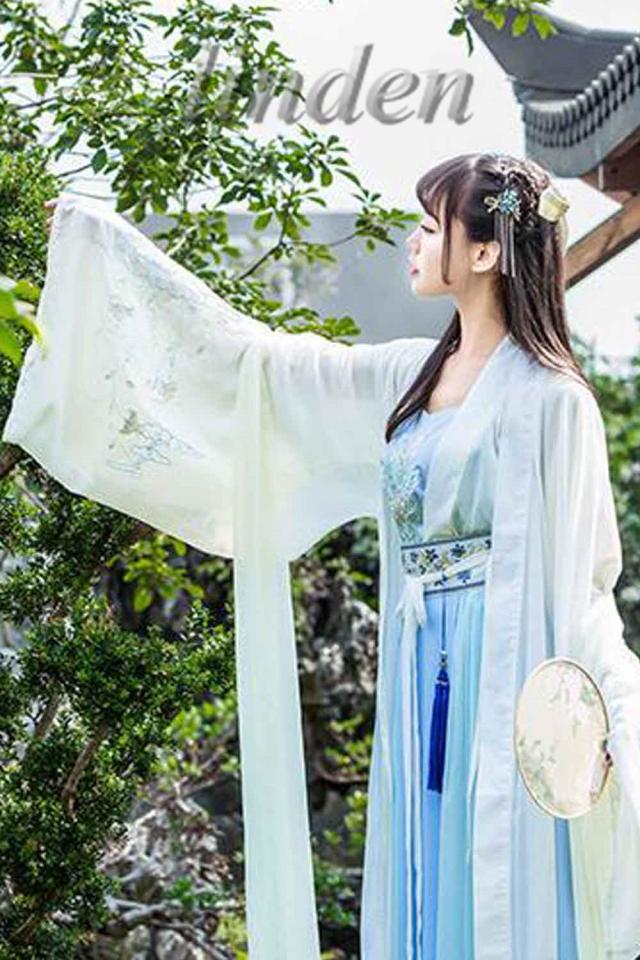 新元号 令和 記念 漢服 魏晋風 漢元素刺繍 女性 女の子 スカート コス服 中華服 写真撮影 古風 レディースコスプレ 仮装 学園祭 おしゃれ 5点セット_6
