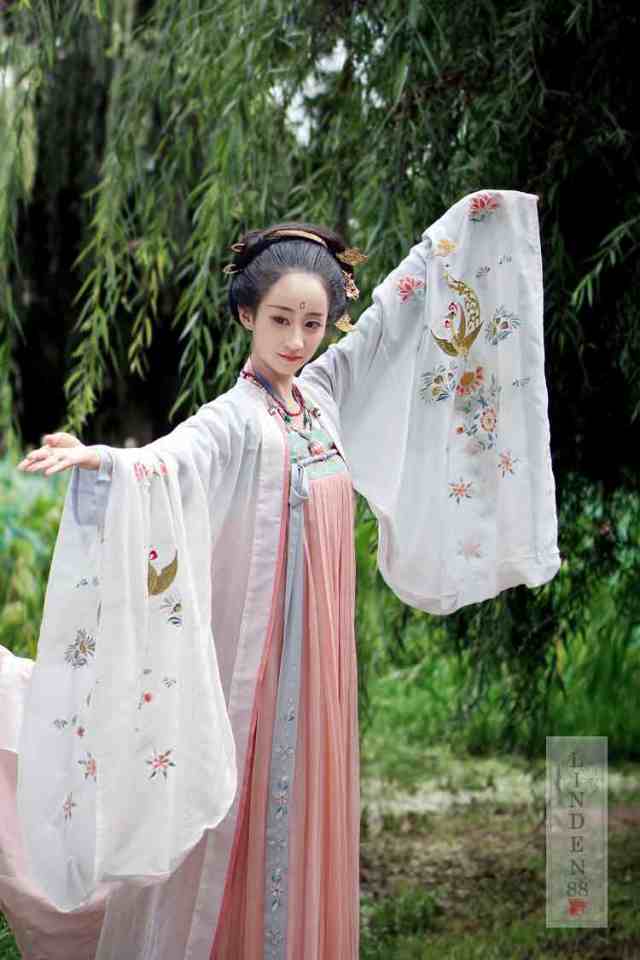 中華服 漢服 唐装 広袖 仙女服 中国古代 宮廷風 コスプレ hanfu abitur 