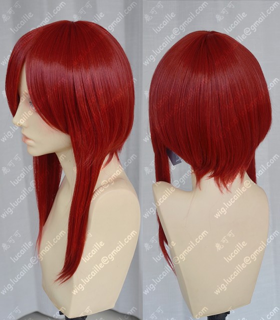 FAIRYTAIL エルザ・スカーレット コスプレ ウィッグ 鎧