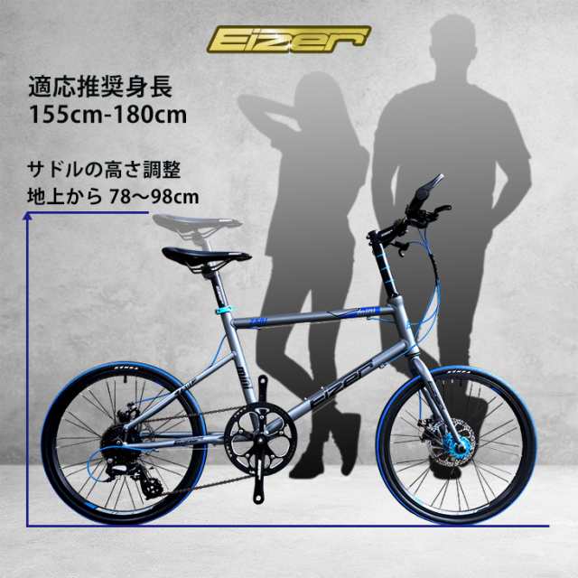 大人 複合 でも Eizer 自転車 Precious Warabi Jp