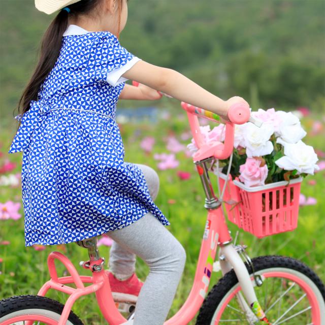 自転車 子供用 16インチ おしゃれ 女の子 お姫様気分 補助輪 カゴ付き 誕生日 プレゼント 4歳 5歳 6歳 7歳 8歳 9歳の通販はau Pay マーケット 自転車グッズのロックブロス